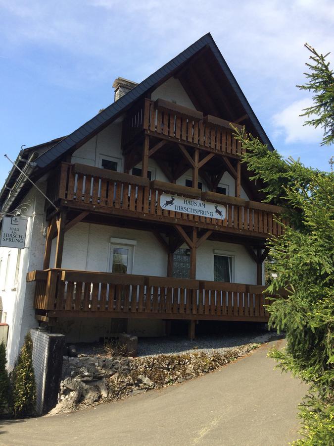 Pension Haus Am Hirschsprung Willingen  Exterior foto
